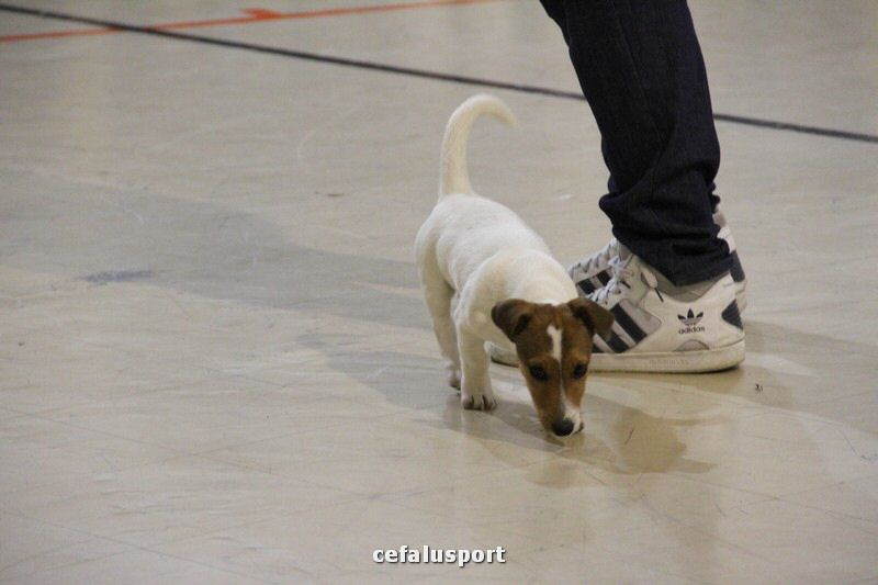 111118 sport 206_tn.jpg